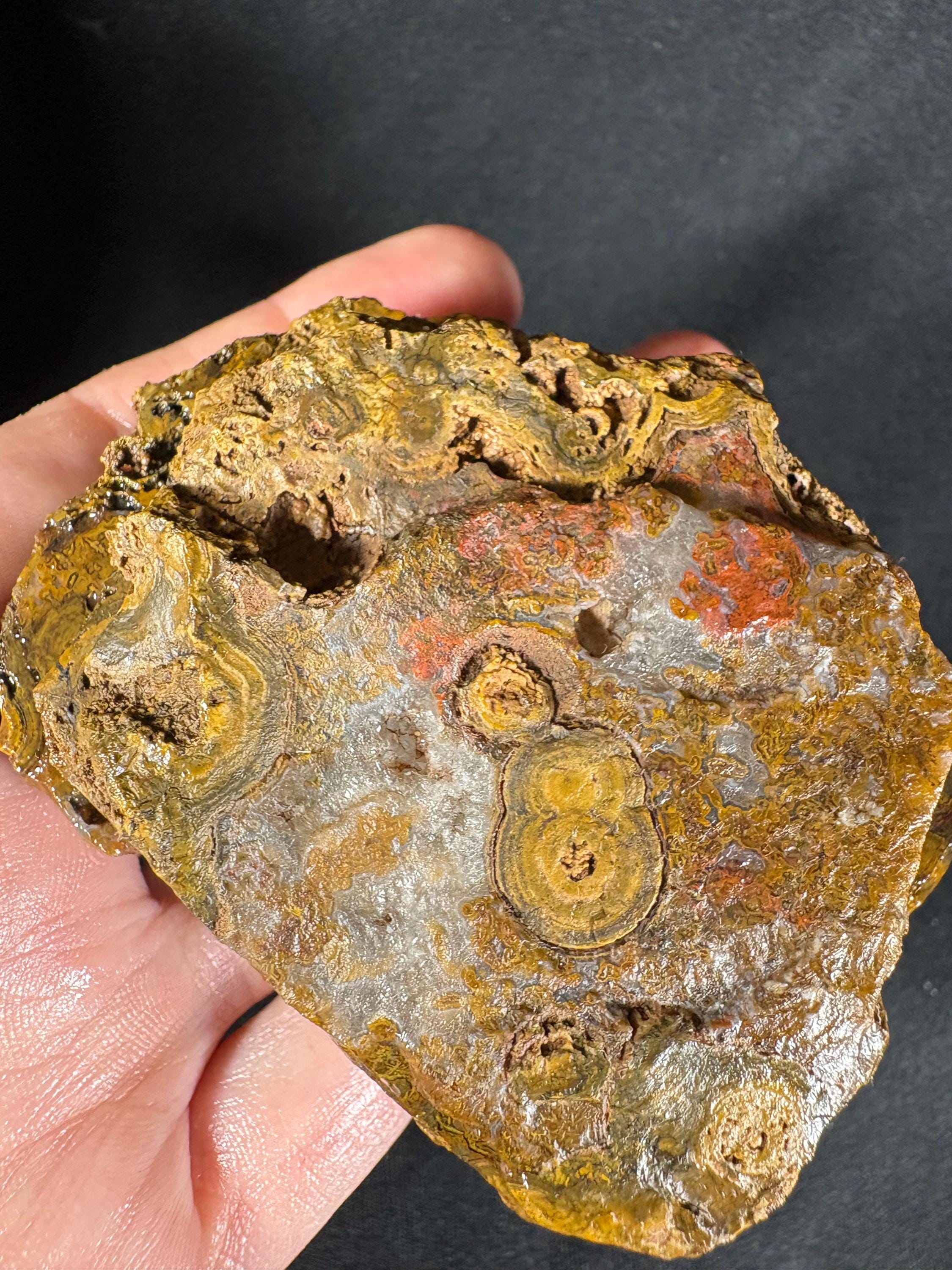 Yellow Crater Agate Pair