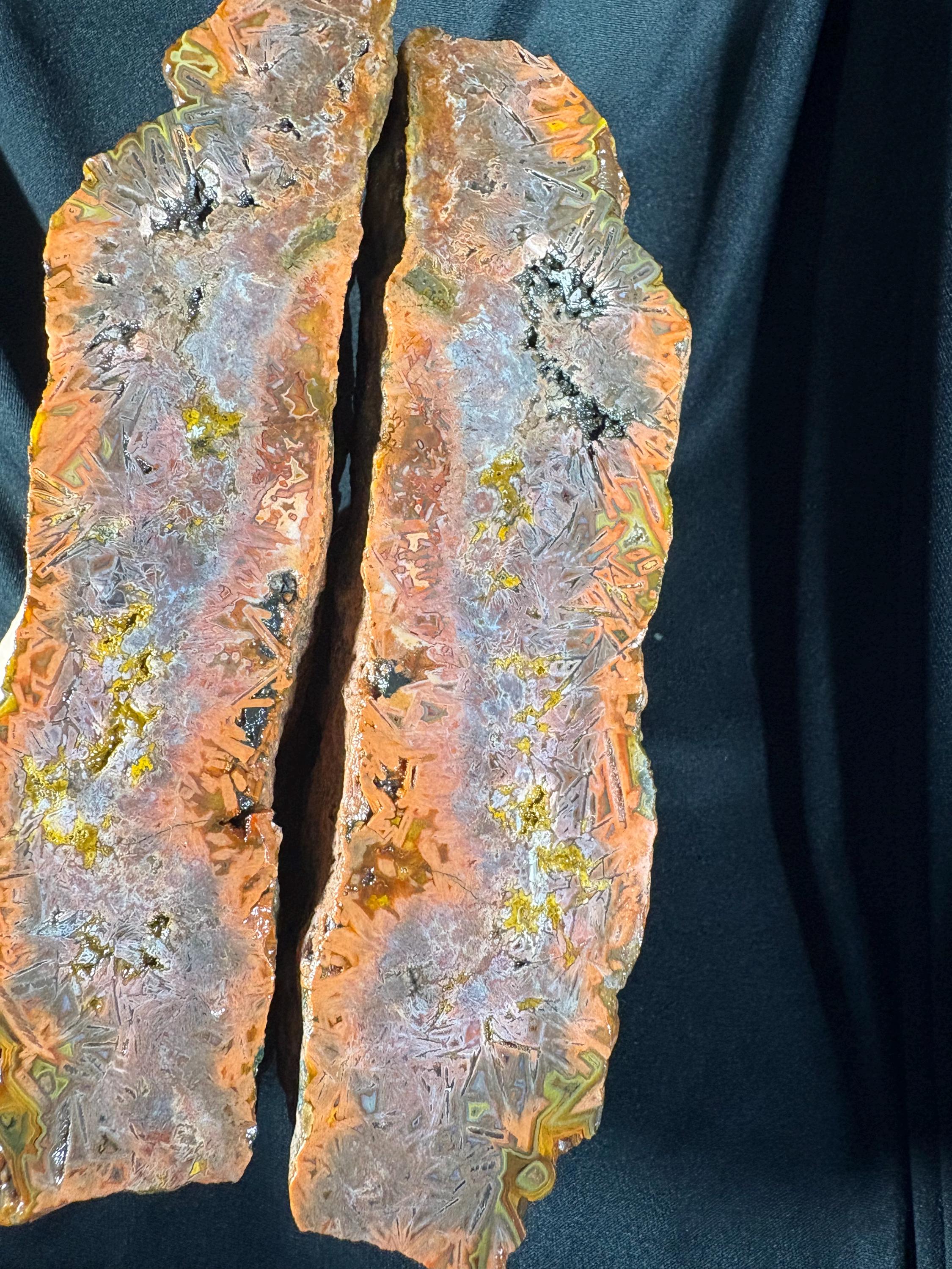 Red Sagenite Agate Pair | Rare Stick Agate Slices