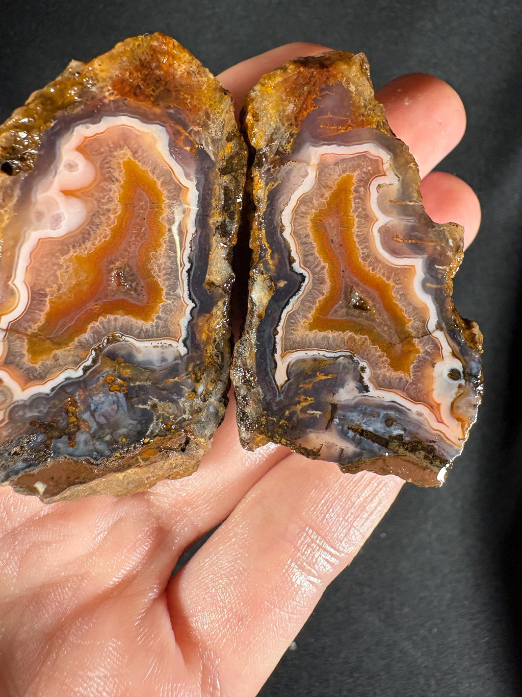 Black Sea "Amber Flame" Agate Pair - High Contrast Fire Agate (Unpolished)