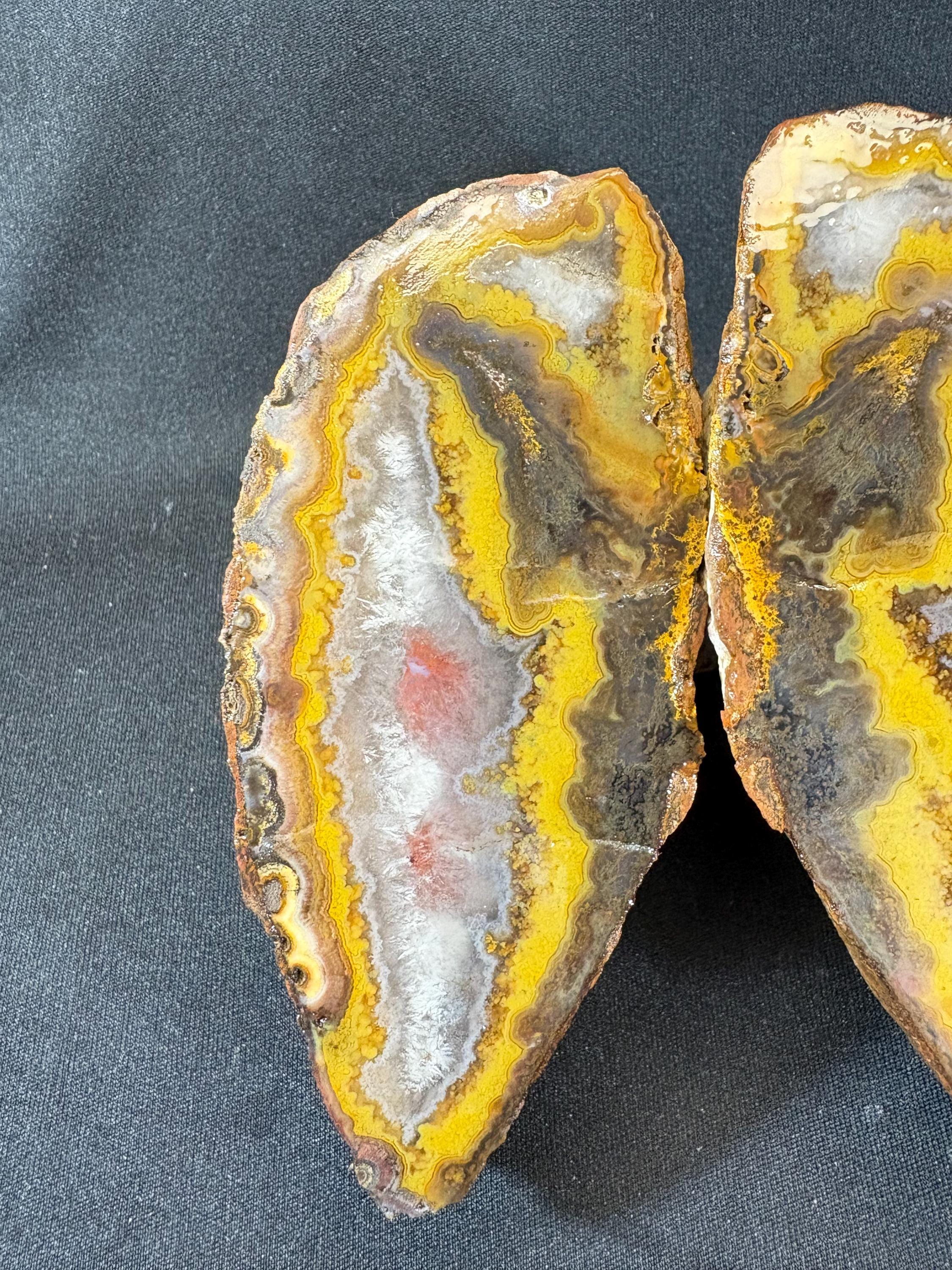 Natural Yellow Banded Agate Split Nodule Pair
