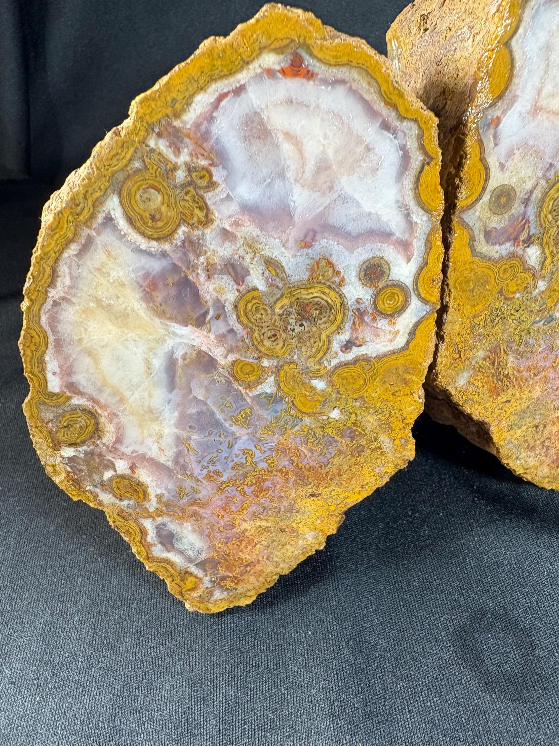 Natural Orbicular Agate Split Nodule Pair – Raw Ocean Jasper Type