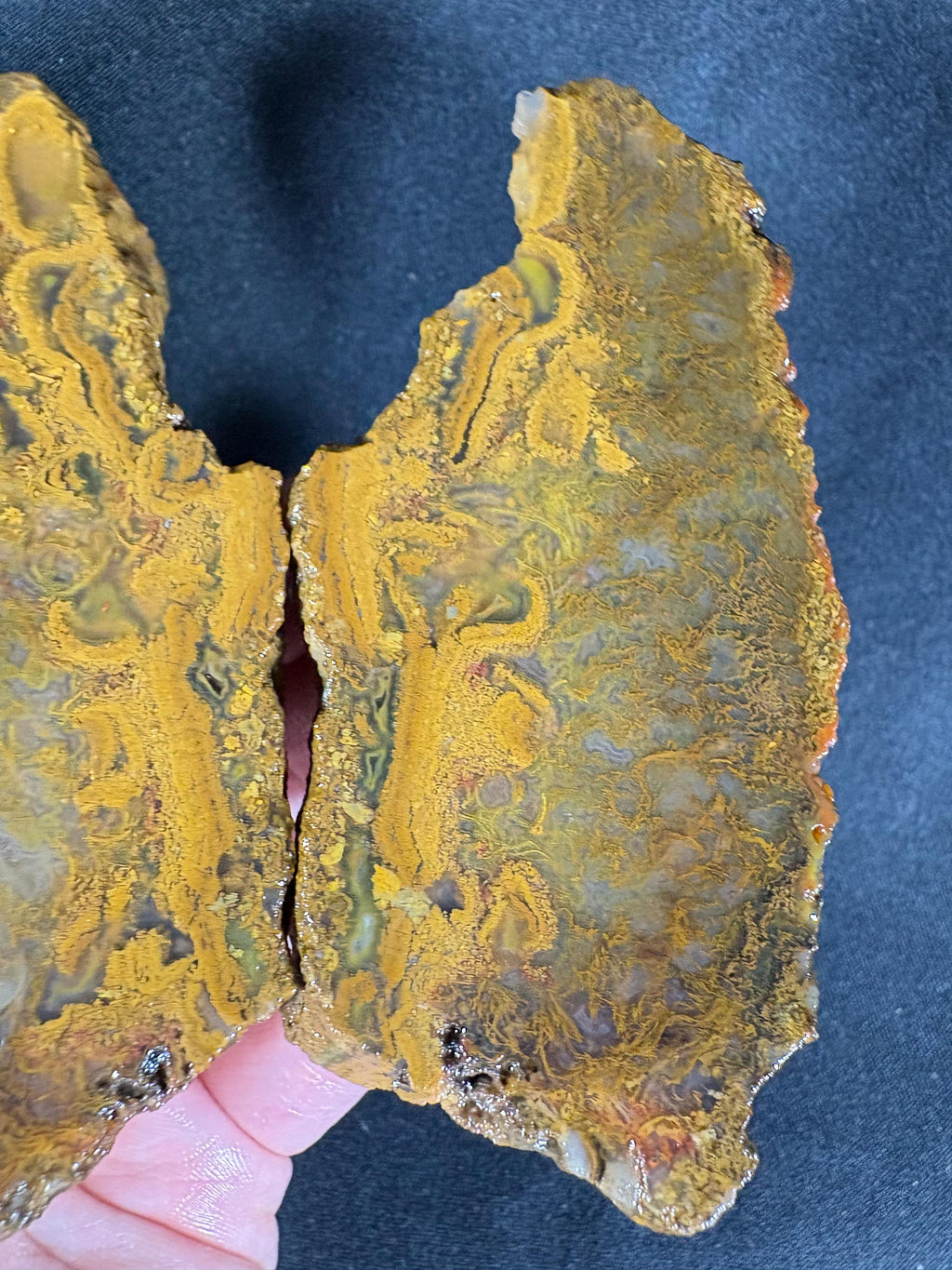 Black Sea Honey Moss Agate Pair – Golden Amber Plume