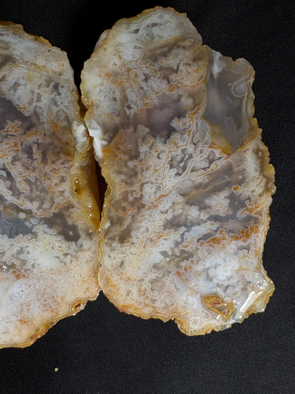 Rare Dendritic Agate Geode Pair - Earthy Fern Pattern