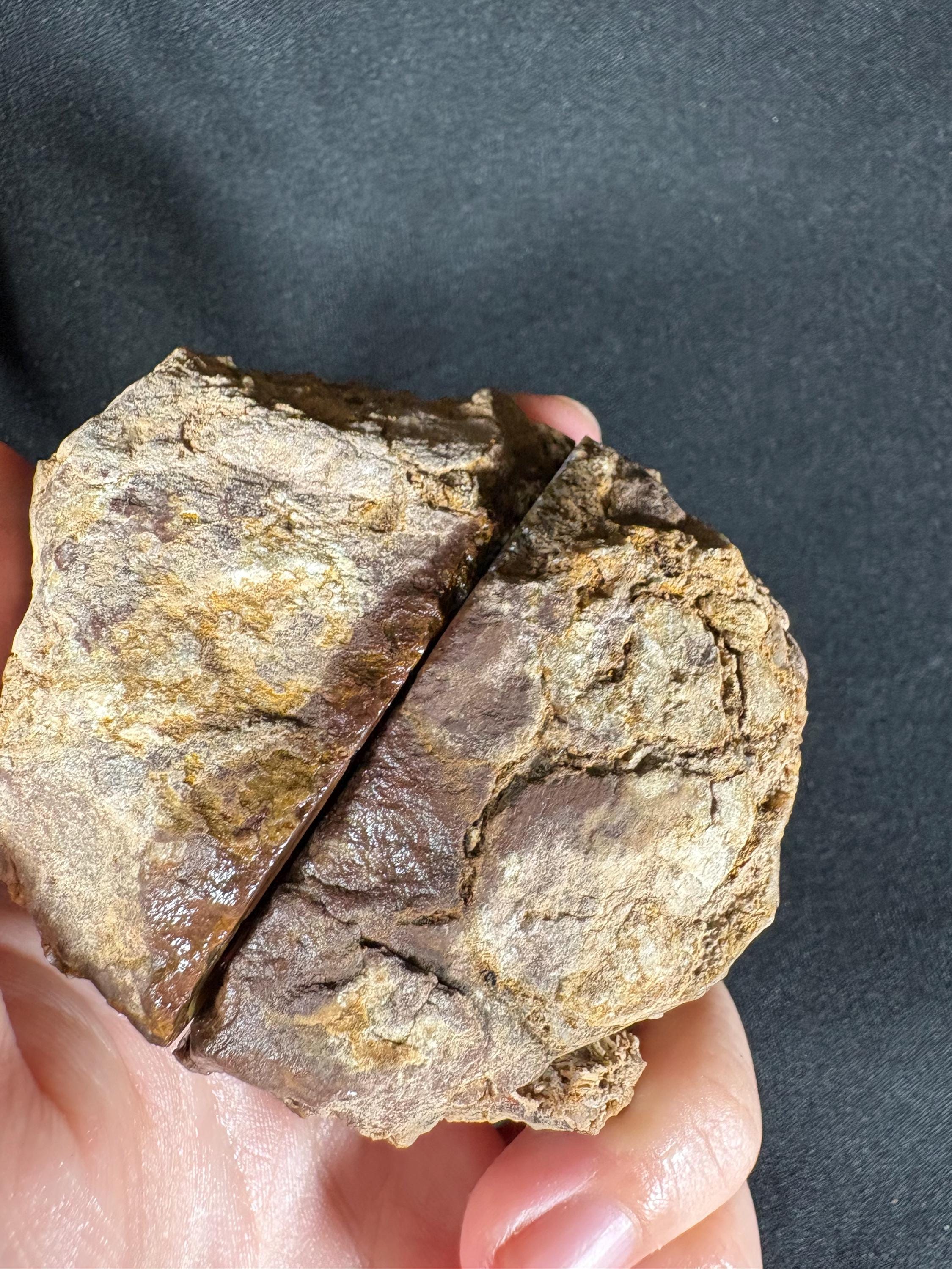 Rare Framed Plume Geode (Unpolished)