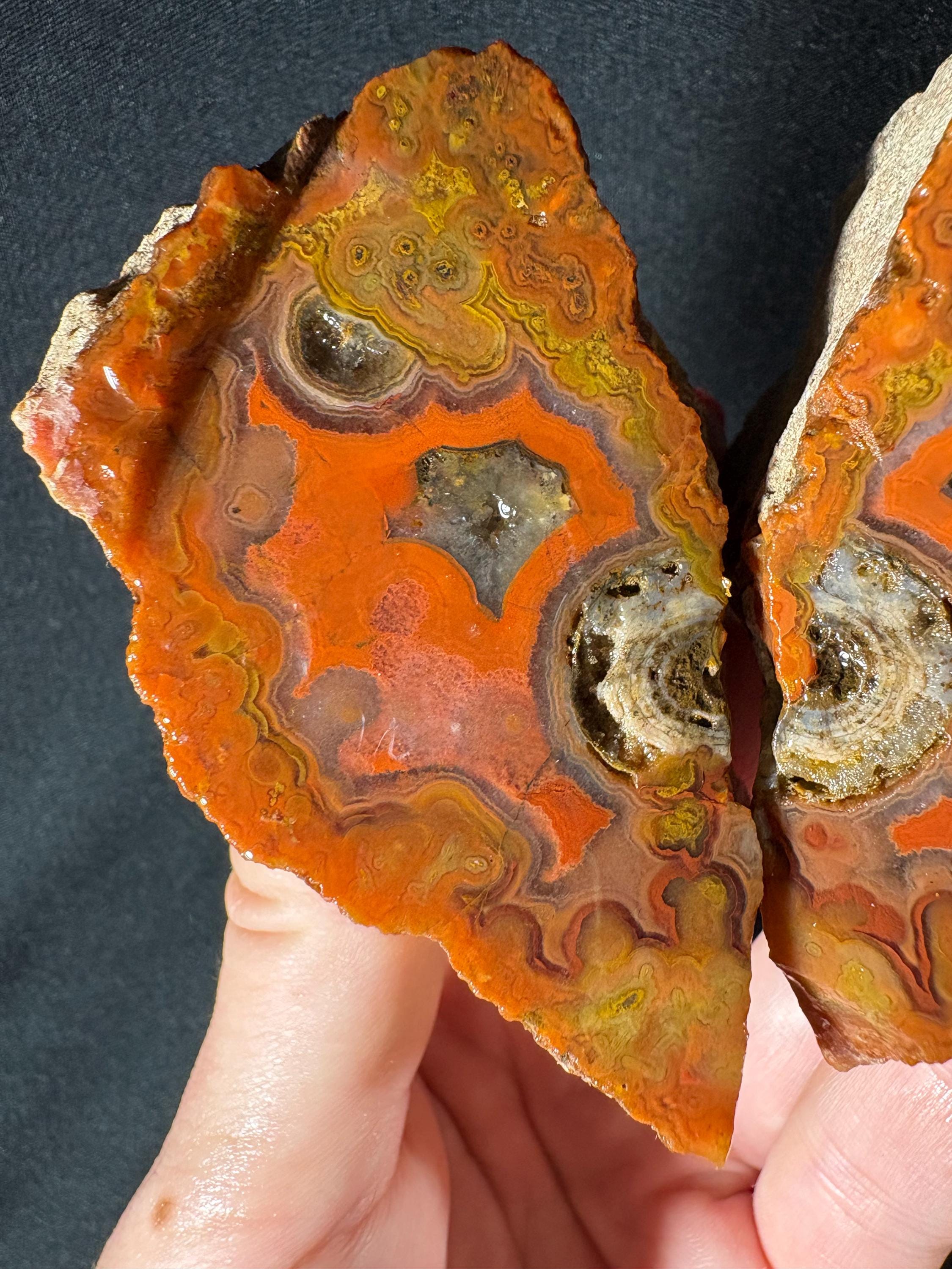 Raw Orbicular Agate Pair from Black Sea Region