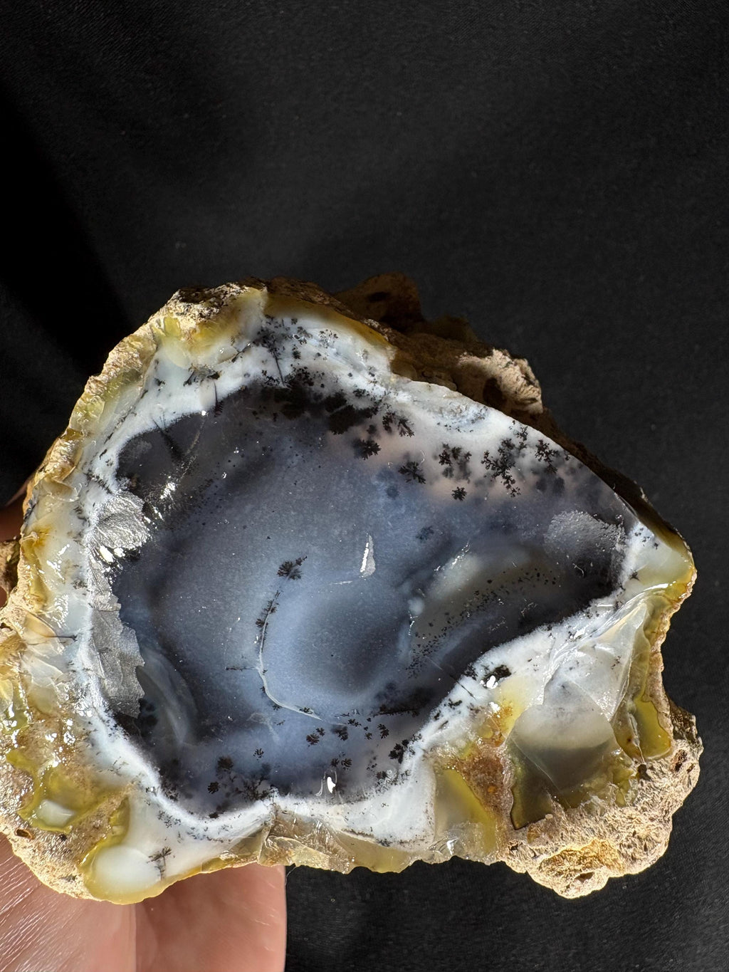 Rare Dendritic Agate Geode Pair