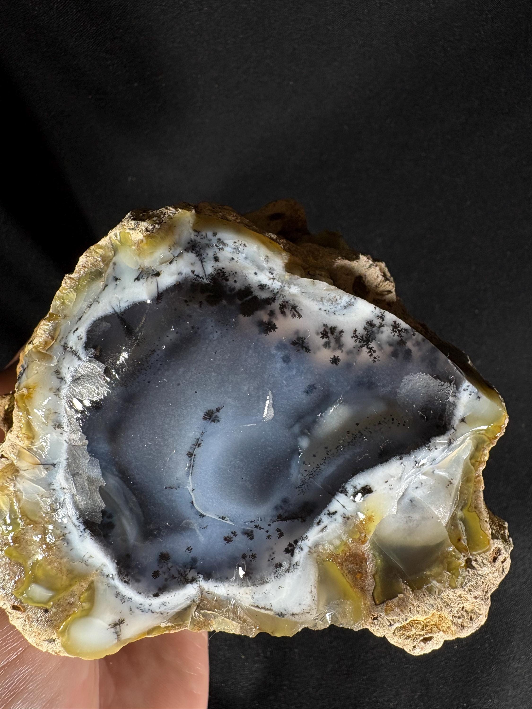 Rare Dendritic Agate Geode Pair