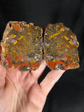 Scenic "Autumn Forest" Agate Pair - Black Sea Stone