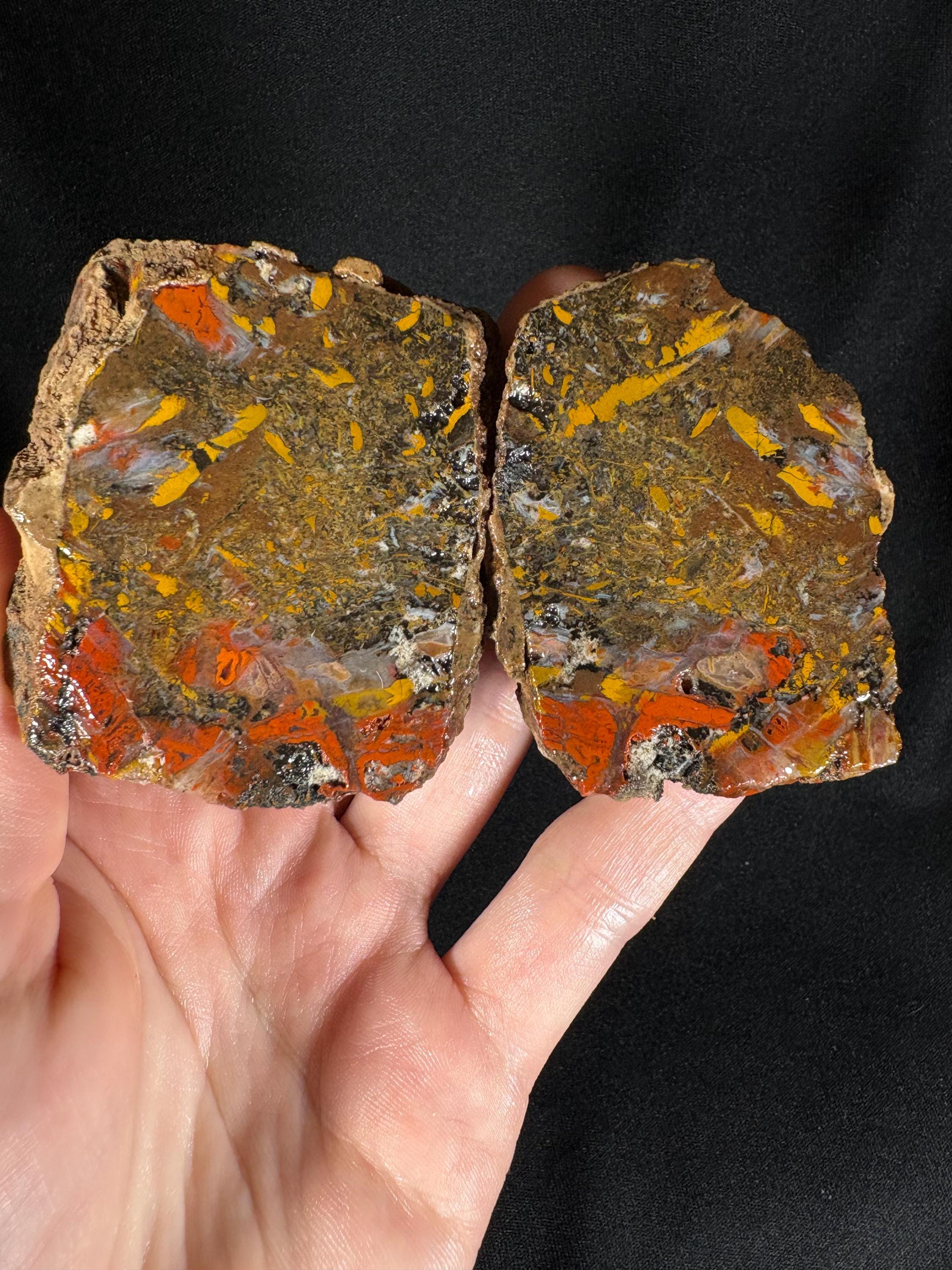 Scenic "Autumn Forest" Agate Pair - Black Sea Stone