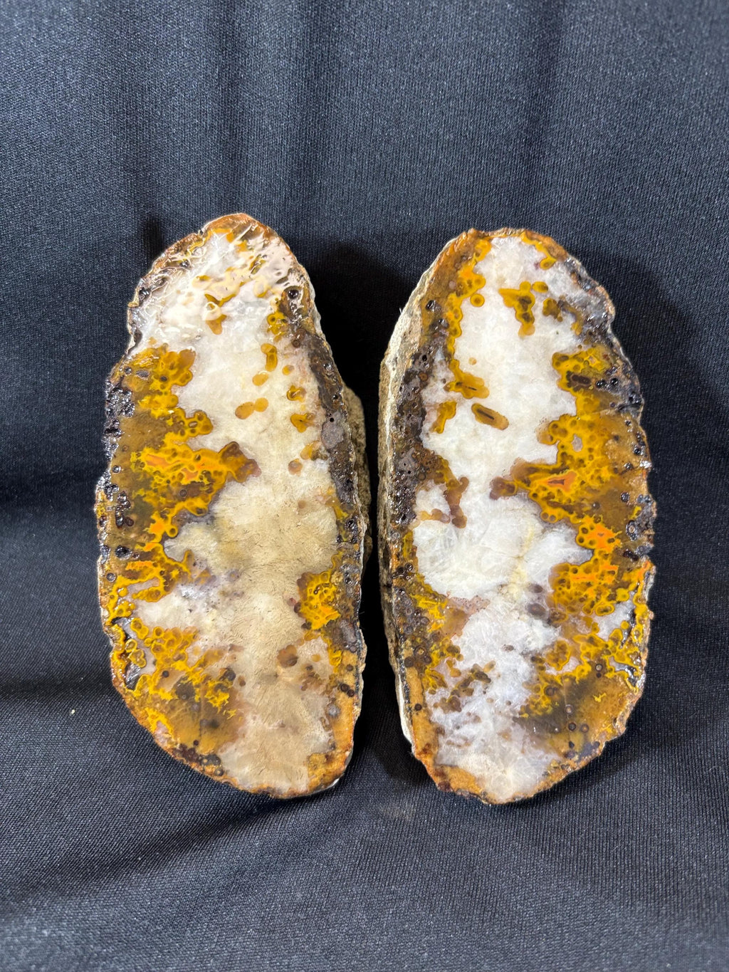 Natural Plume Agate Split Nodule Pair