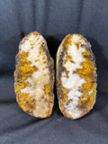 Natural Plume Agate Split Nodule Pair