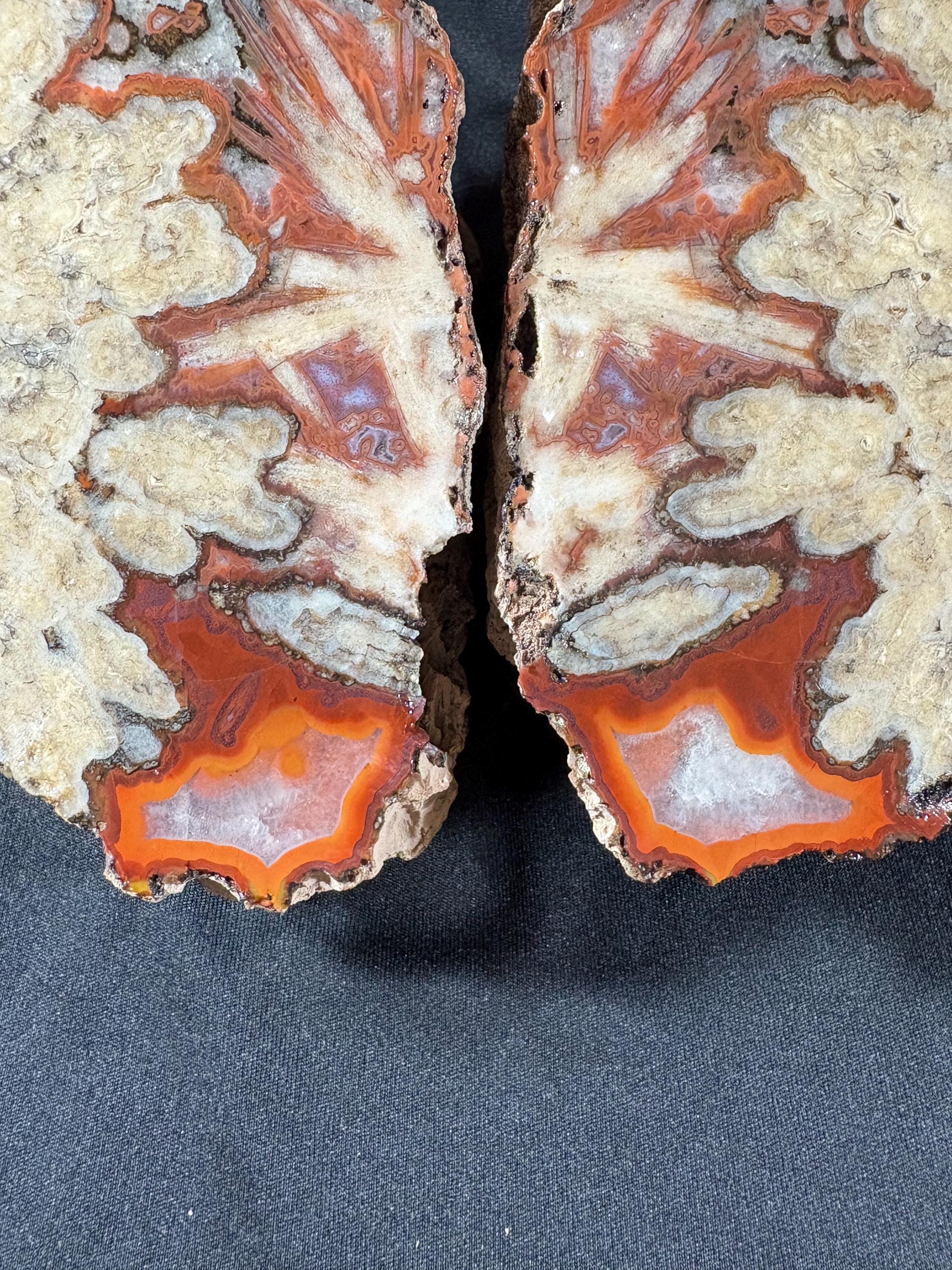 Natural Plume Agate Split Nodule Pair – Raw Untreated Agate