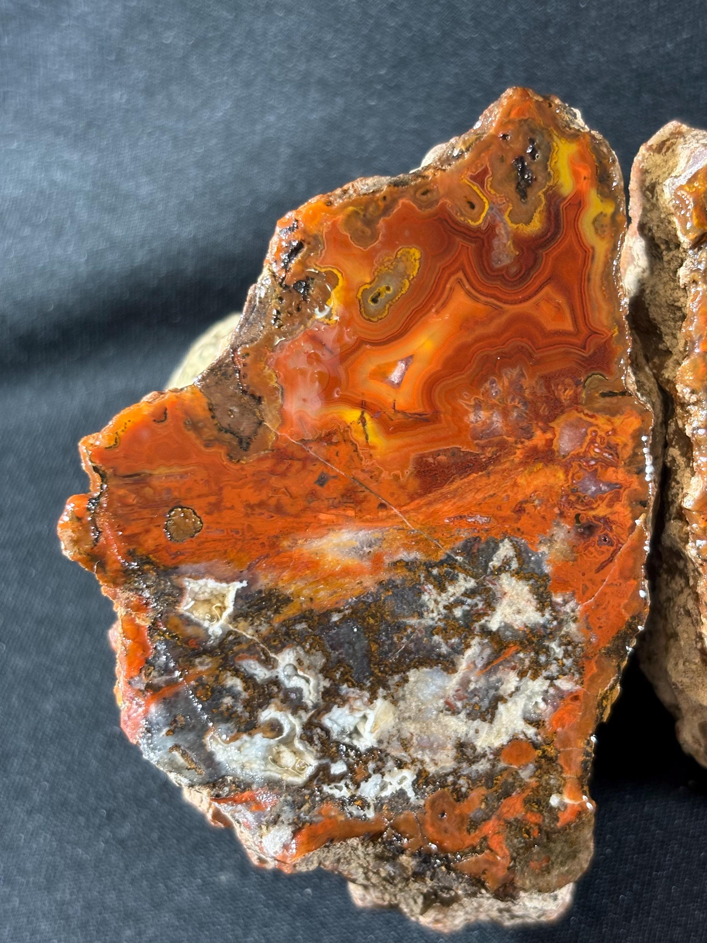 Raw Crazy Lace Agate Pair