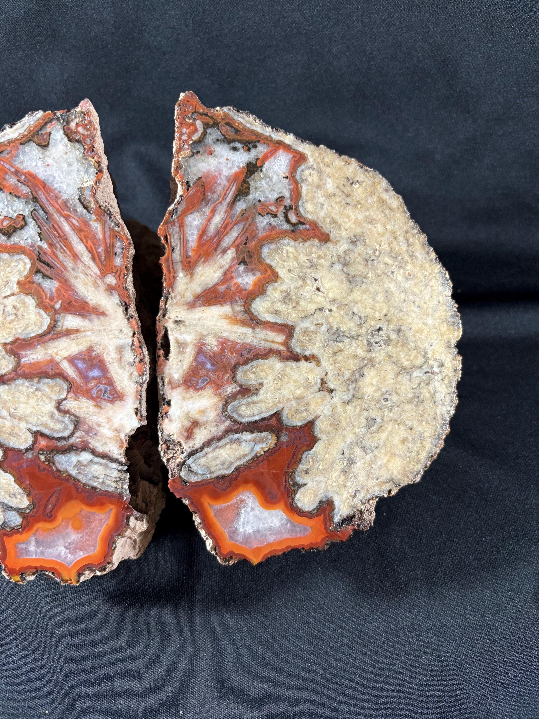 Natural Plume Agate Split Nodule Pair – Raw Untreated Agate