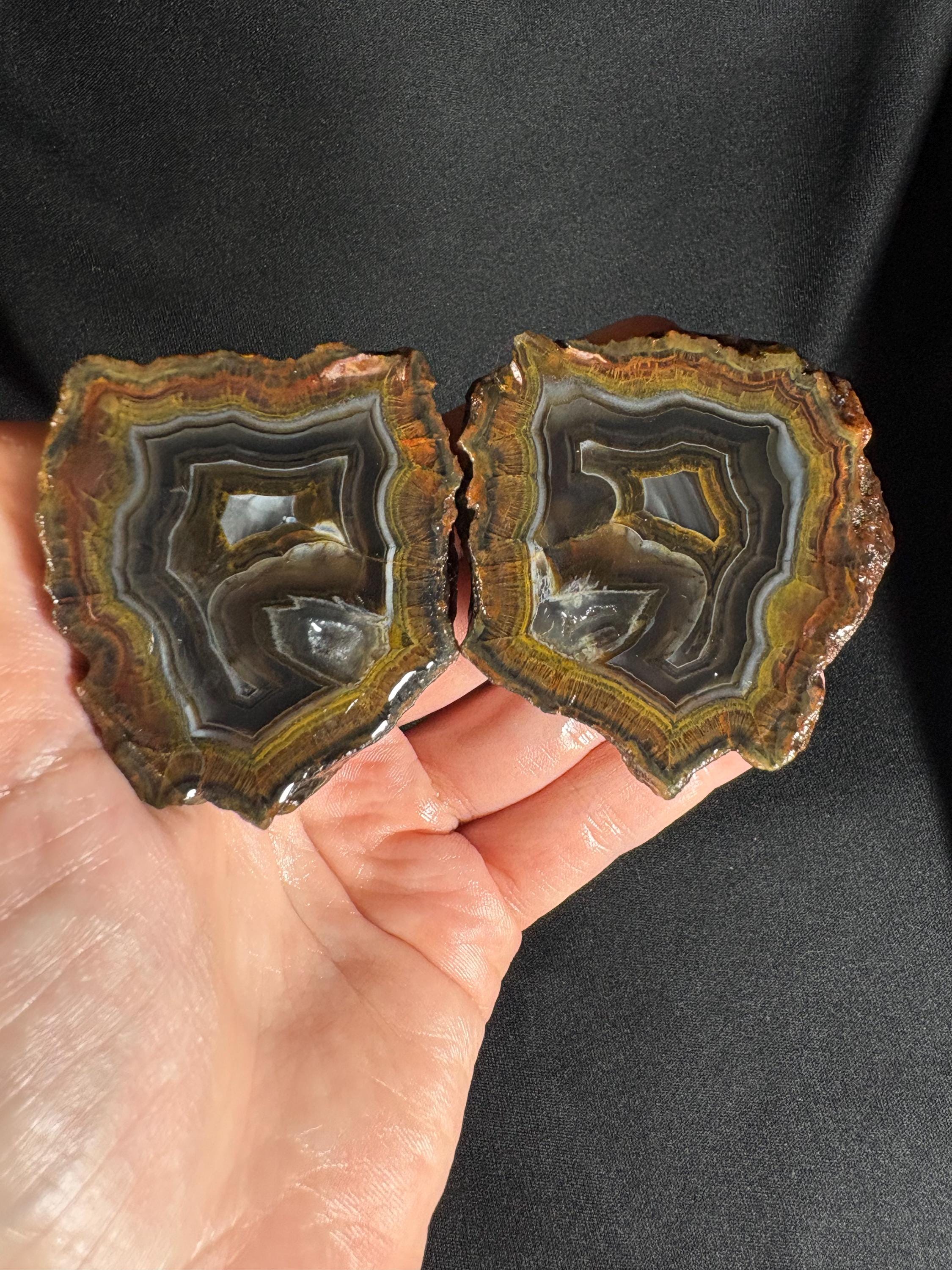 Golden Moss Rim Agate Pair
