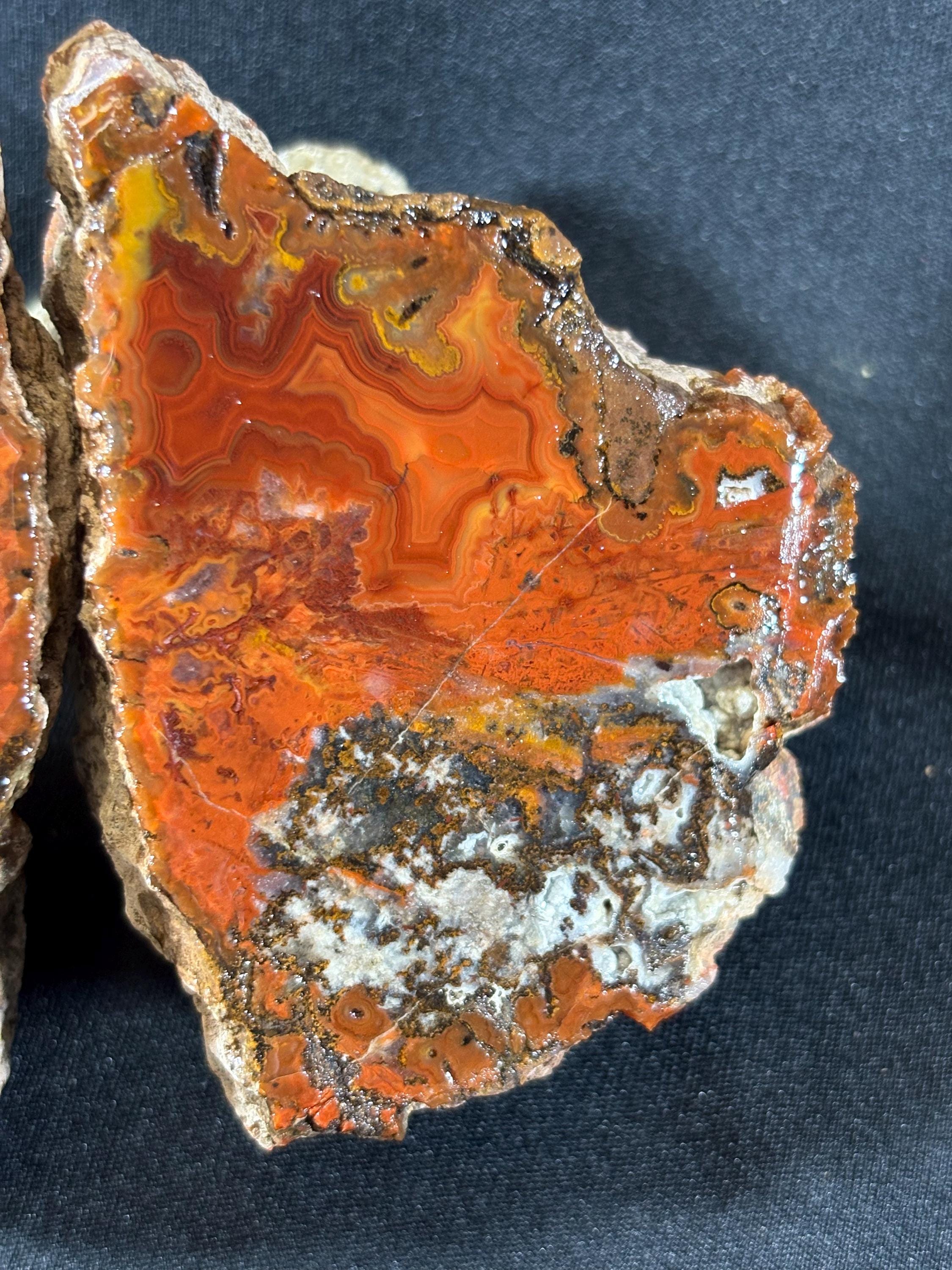 Raw Crazy Lace Agate Pair