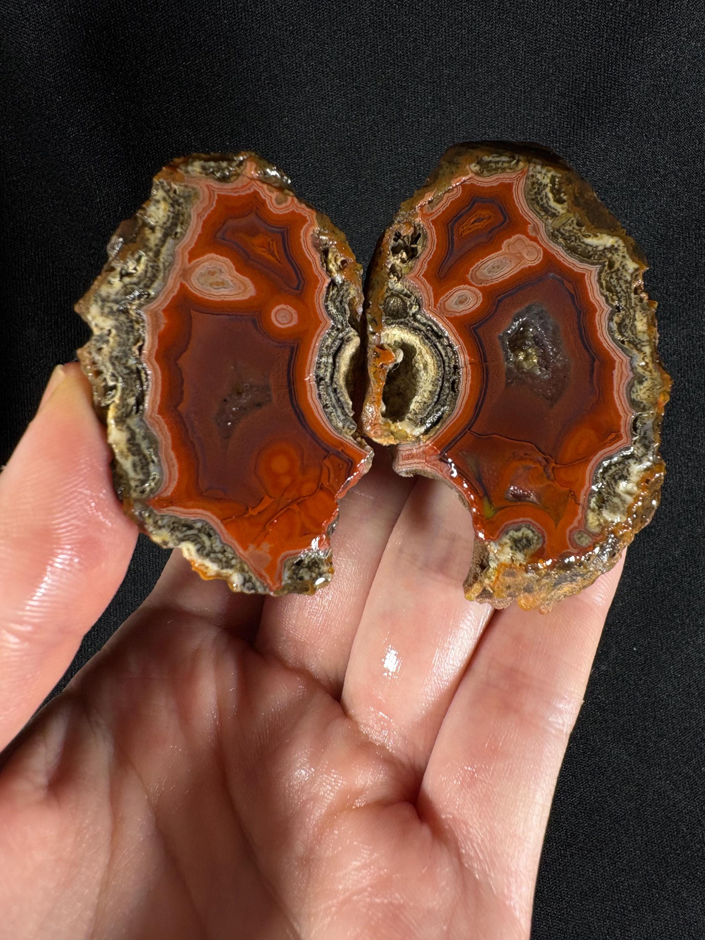 Rare Red Almus Agate Pair