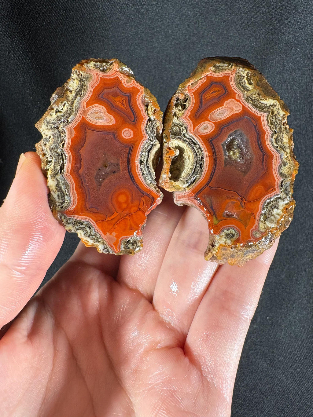 Rare Red Almus Agate Pair