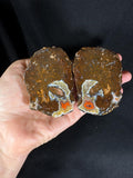Fire Heart Black Sea Agate Pair