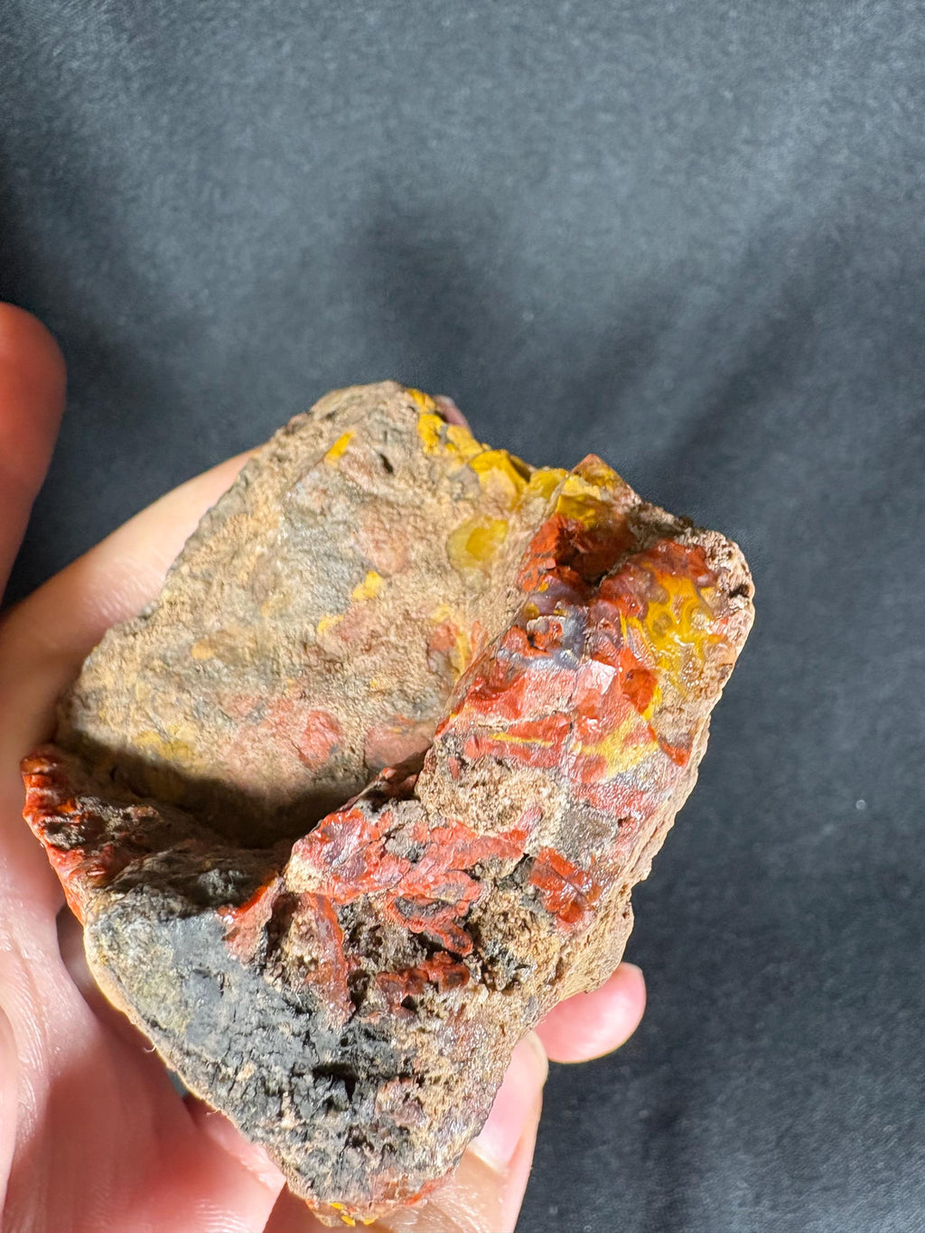 Scenic "Autumn Forest" Agate Pair - Black Sea Stone