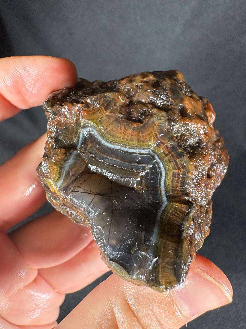 Golden Moss Rim Agate Pair