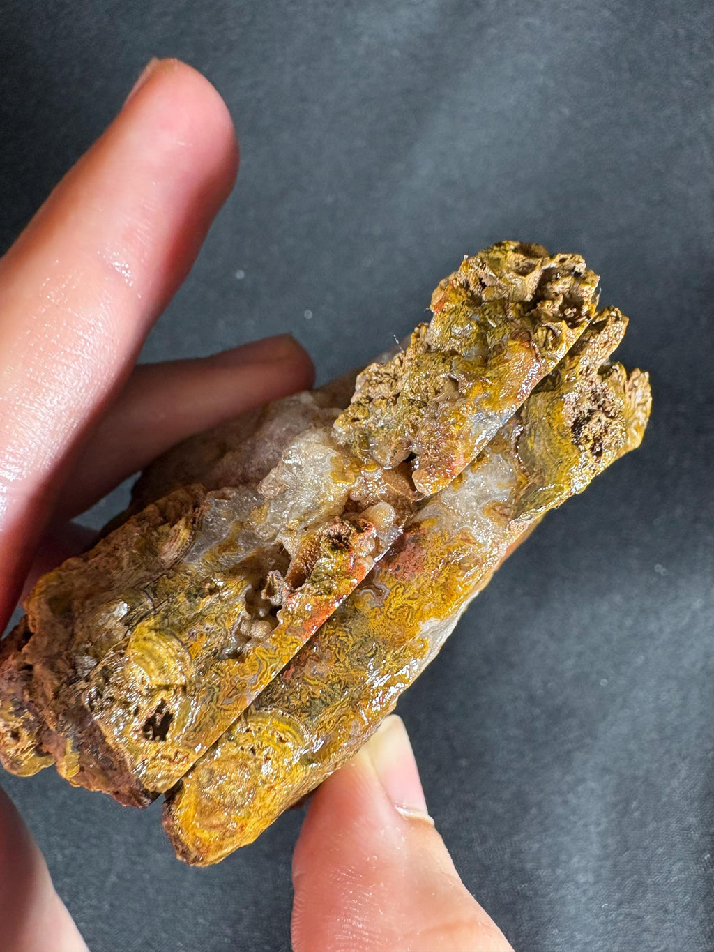 Yellow Crater Agate Pair