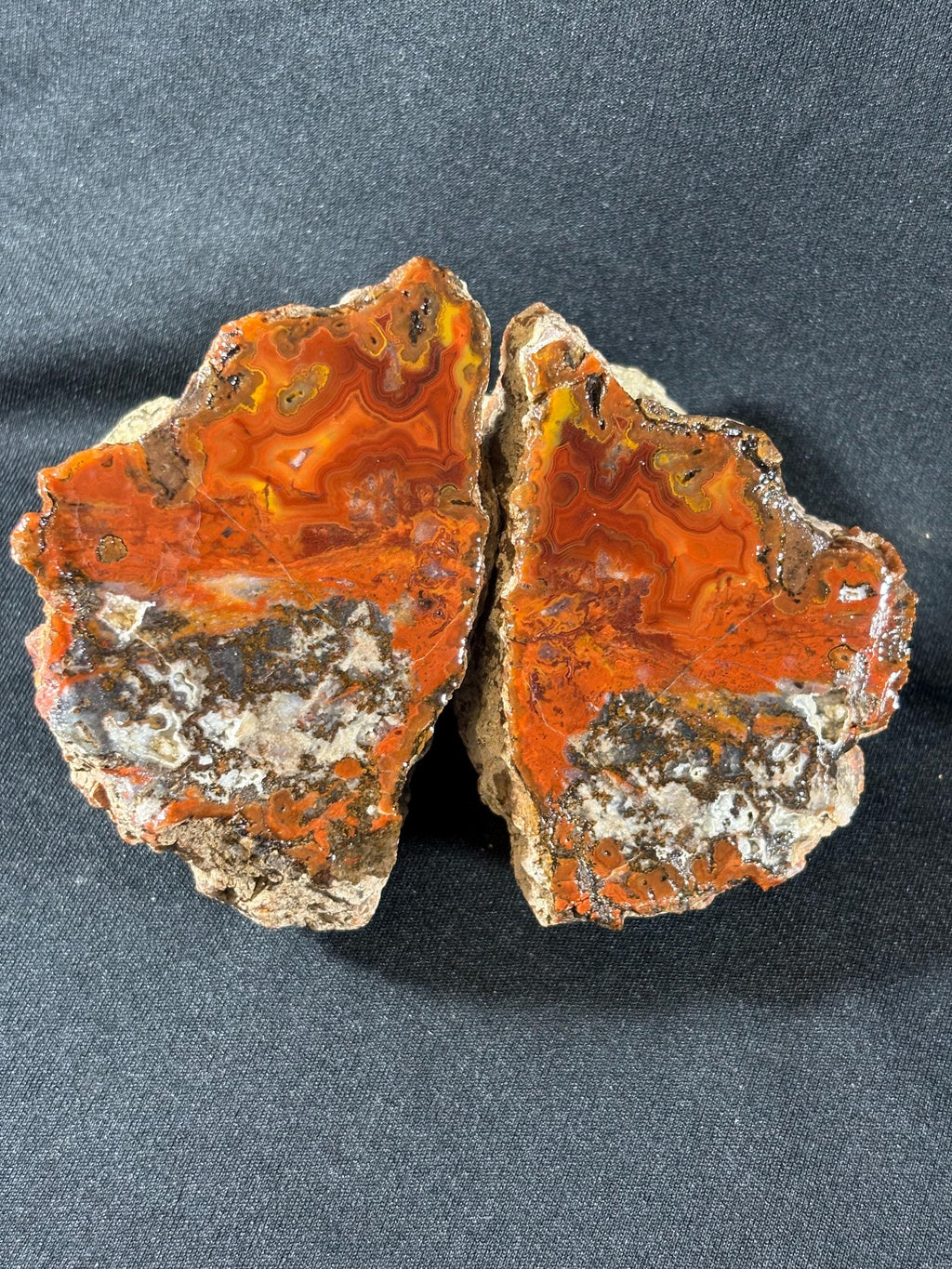 Raw Crazy Lace Agate Pair
