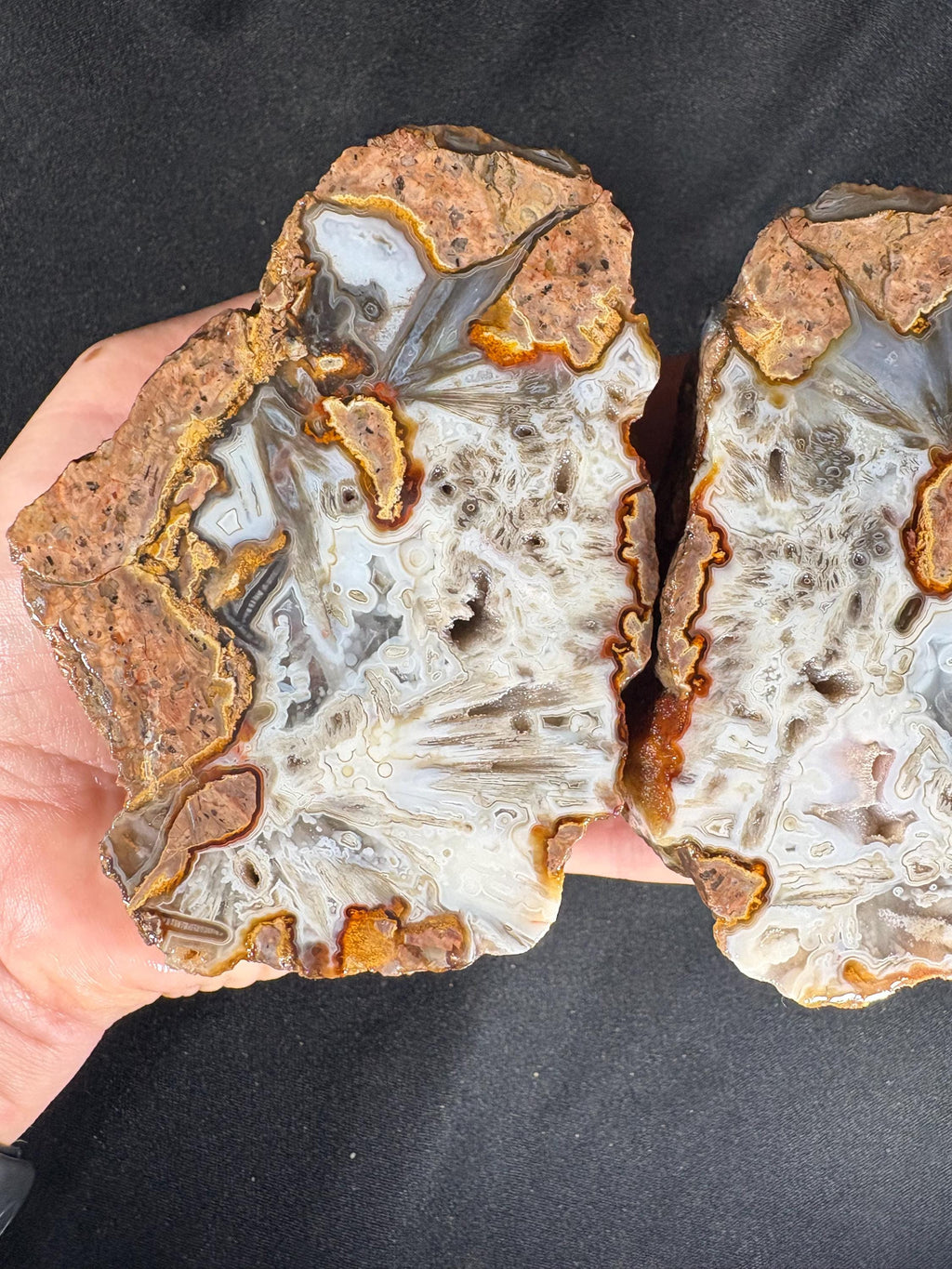 Rare Star Agate Geode Pair - Unpolished