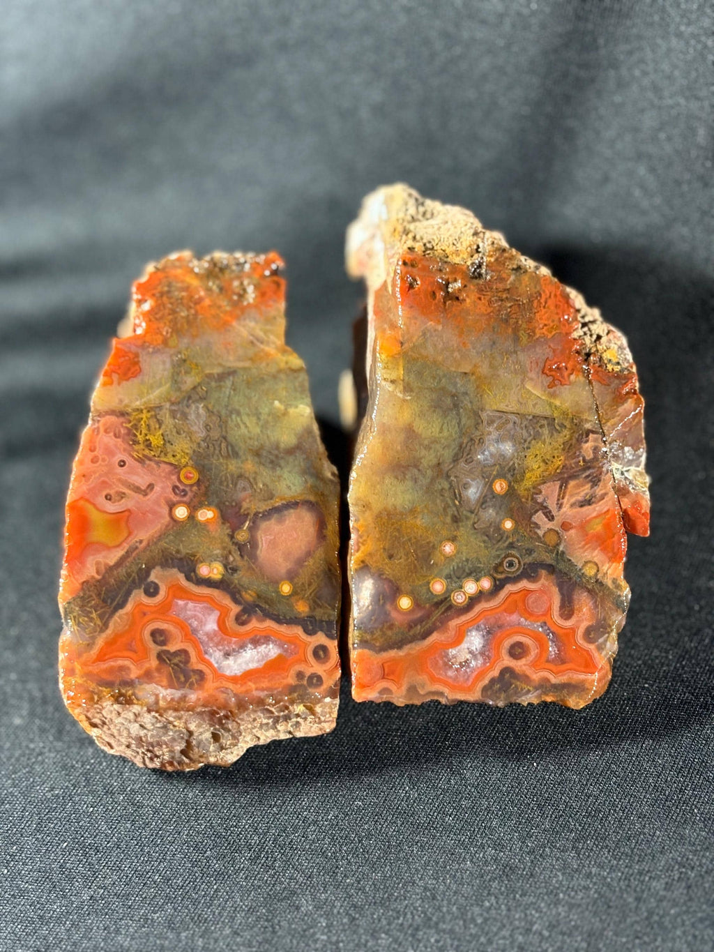 Black Sea Coastal Orbicular Agate