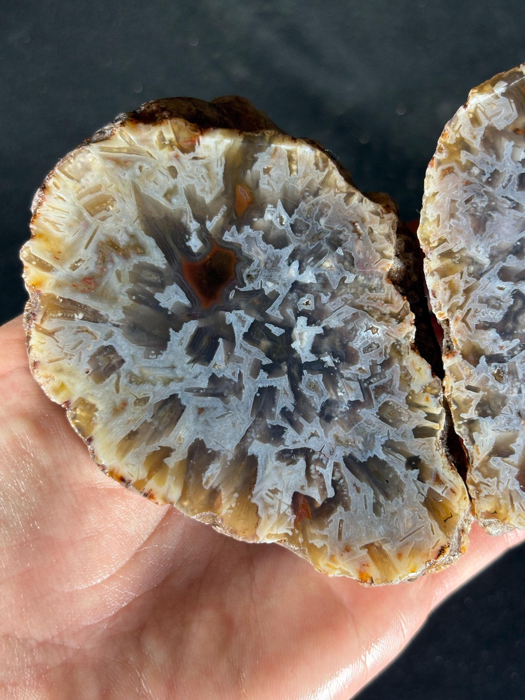 Raw Turkish Banded Agate Geodes - Blue Black and Dendritic Patterns